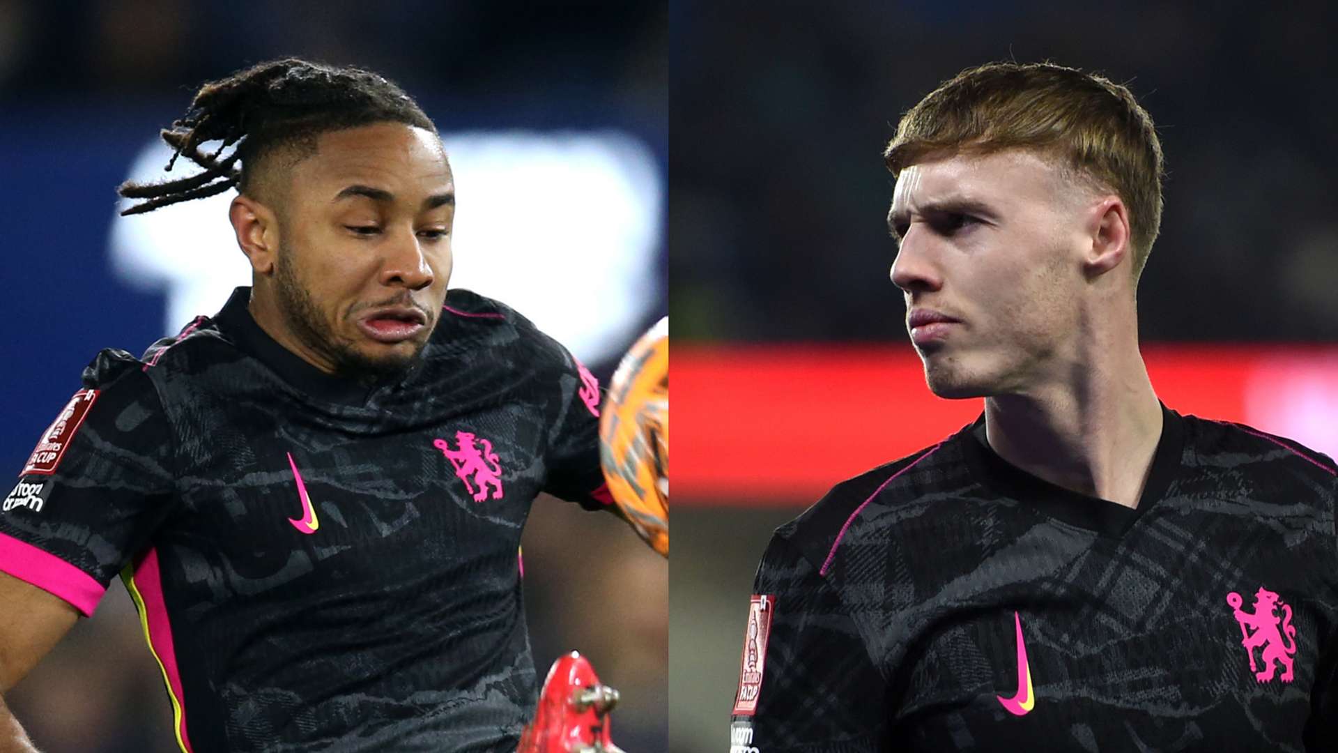 以其独特的 以其独特的